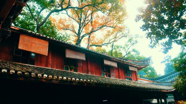 浙江这座5*级A**寺院景区，让我这俗人第一次有了想要“出家”的冲动