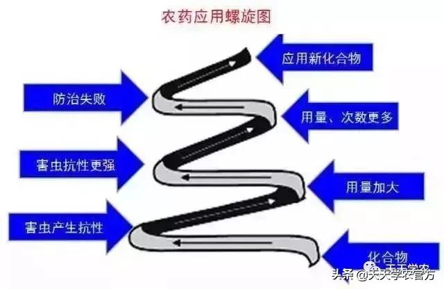 锈壁虱和红蜘蛛药一起可以打吗,杀红蜘蛛的药都可以杀锈壁虱吗