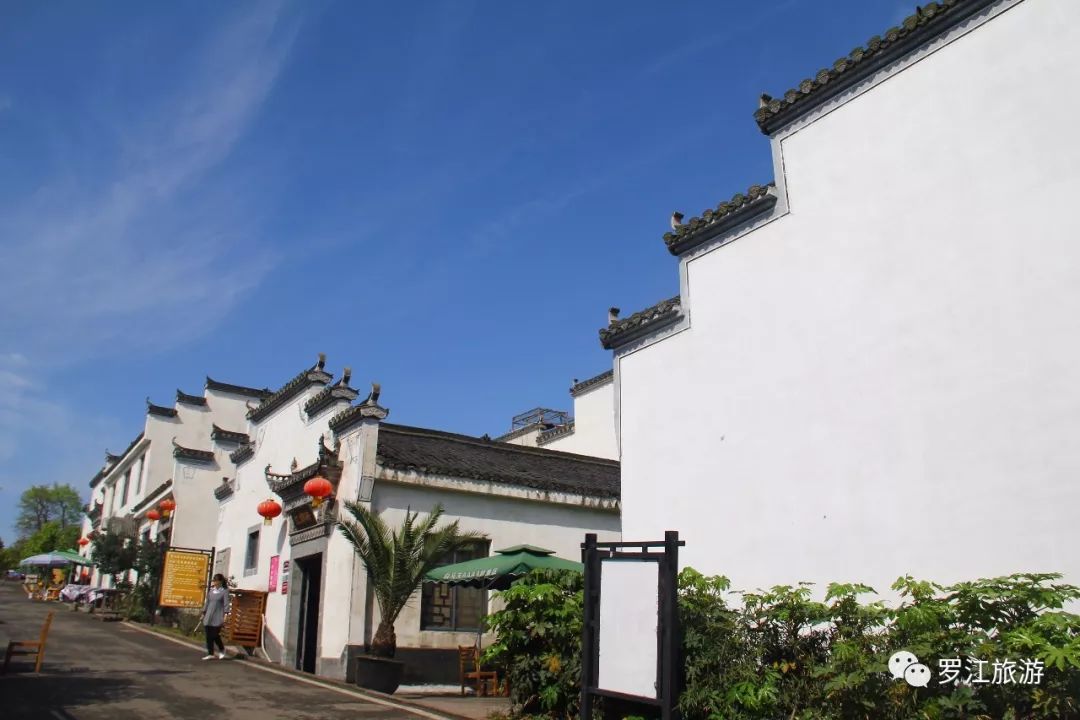 罗江赏梅花,罗江的礼物去哪买