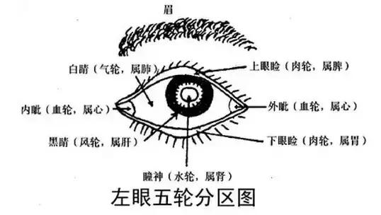 肾虚眼袋黑脾虚眼袋大图片,脾虚肾虚导致的眼袋大怎么办