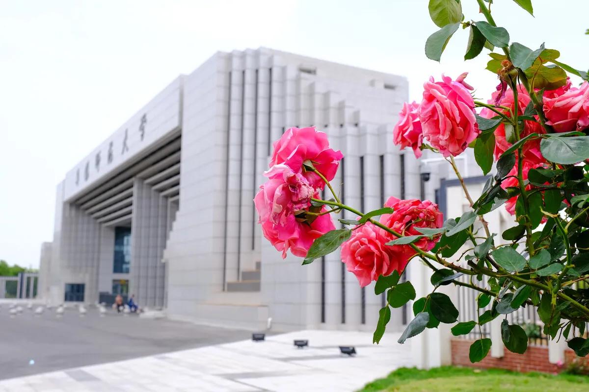 阜阳人民医院和阜阳医科大哪个好,阜阳师范大学vs淮北师范大学