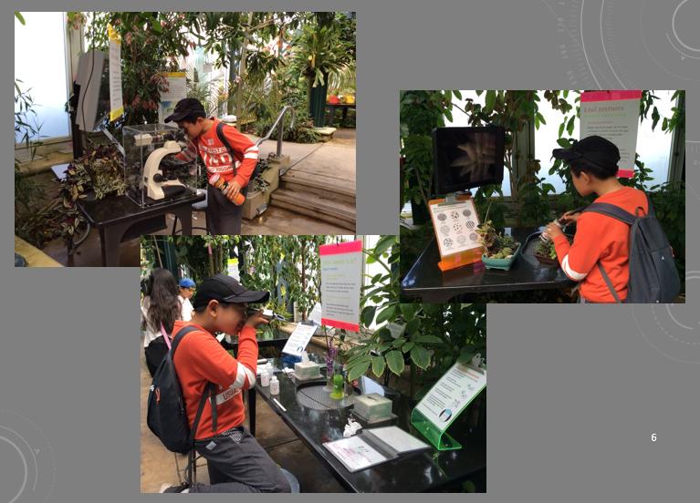 长隆度假区真实测评,长隆测试