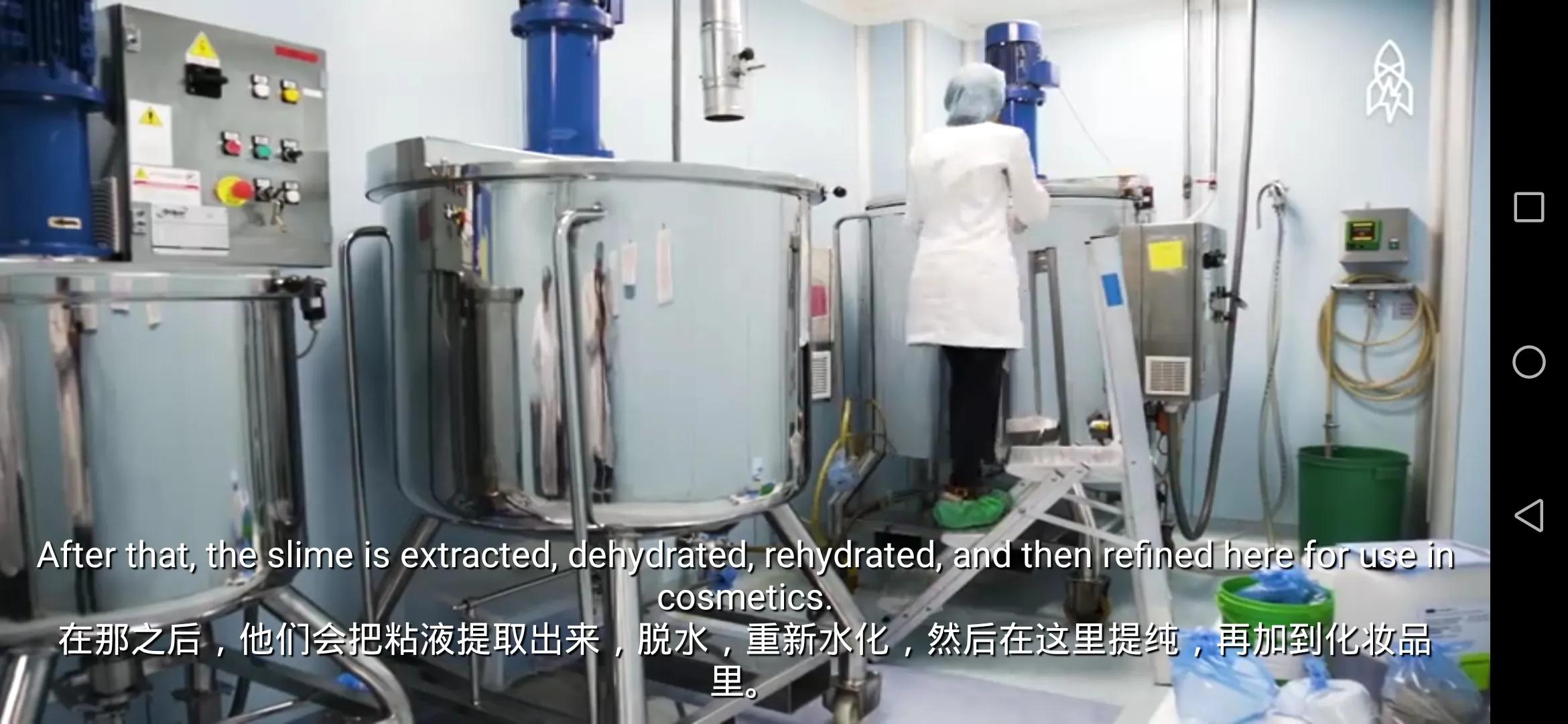 蜗牛的护肤品,所有蜗牛牌的护肤品