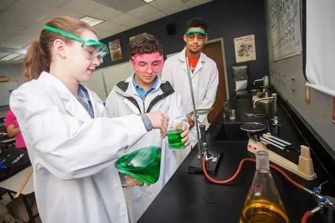 这些学校“都挺好”，新绿洲硅谷优质学校，录取迅速，住家优质！