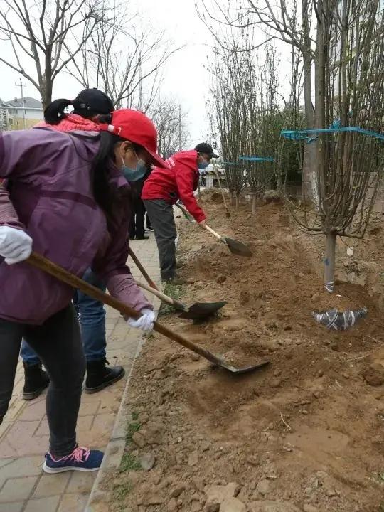 我为群众办实事微心愿,我为人民群众办实事工作计划