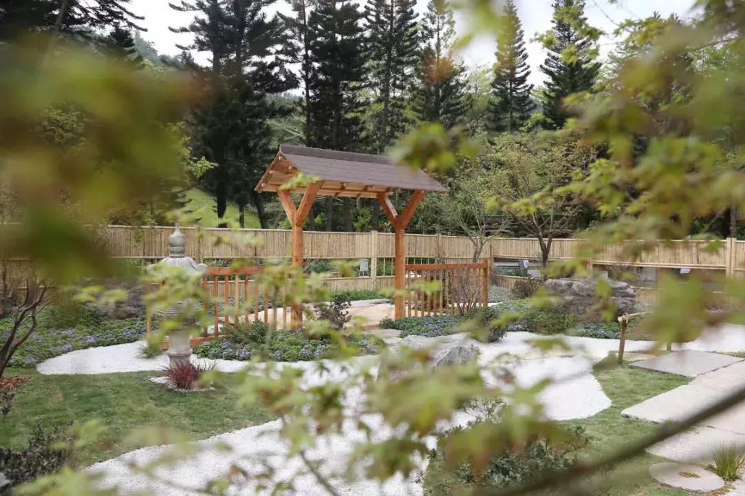 未来10天预警,深圳最最最最火的地方在这里,美女都赶来打卡