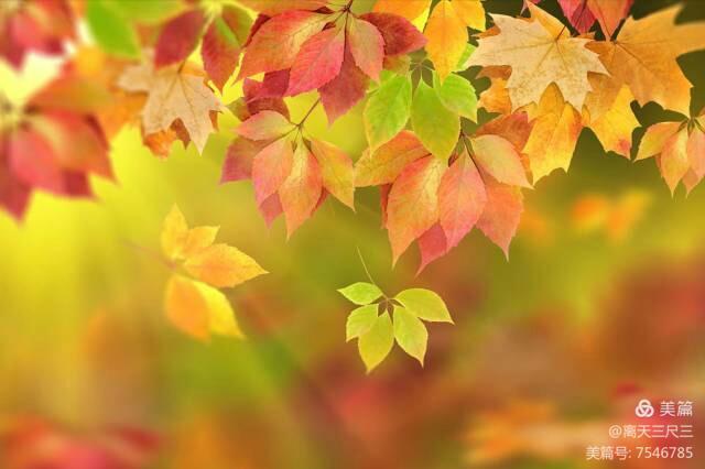 玉泉山北坞公园介绍,北坞村玉泉山