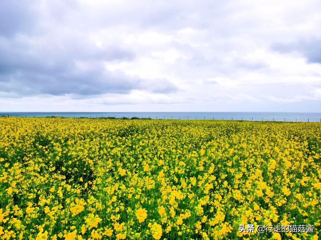 西宁旅游交通攻略路线,西宁避坑攻略