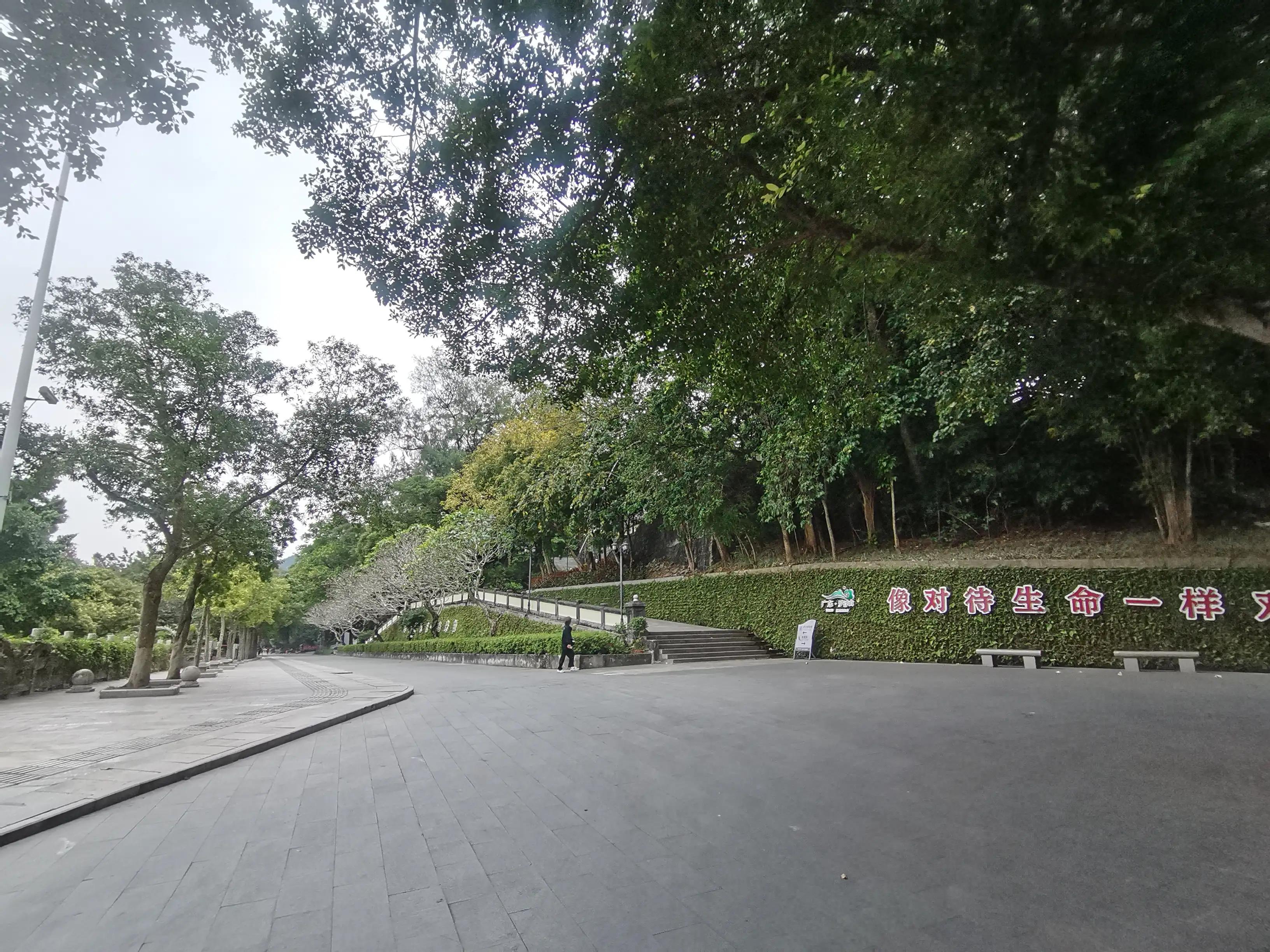 岭南景区攻略三日游,岭南罗浮山一日游