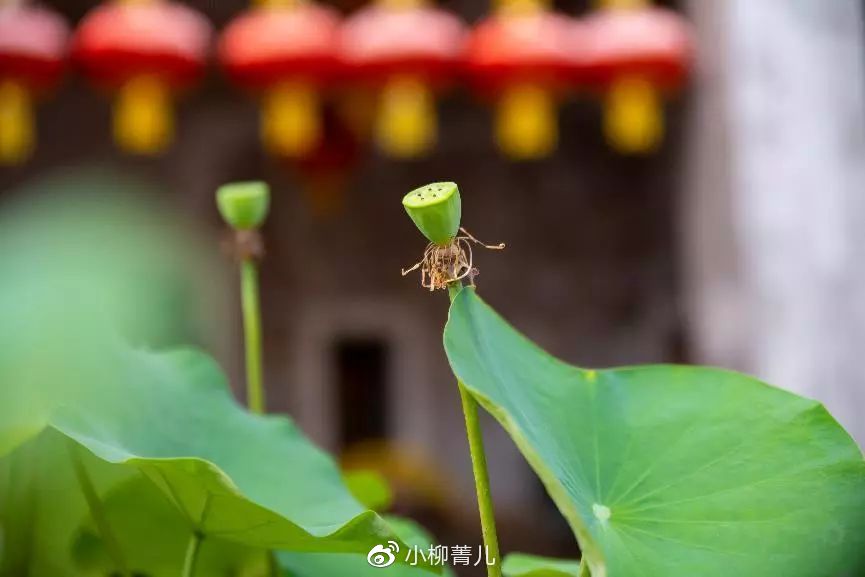 曼谷又好吃又好玩 (泰国美食曼谷旅游攻略)