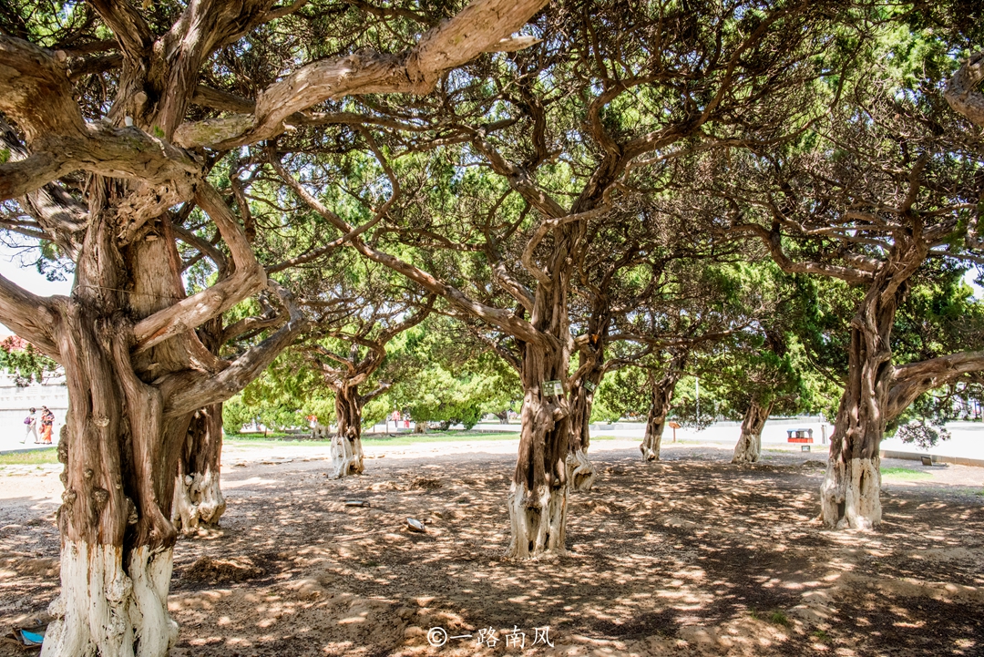 大连经典旅游景点广场,大连不能错过的高清景点