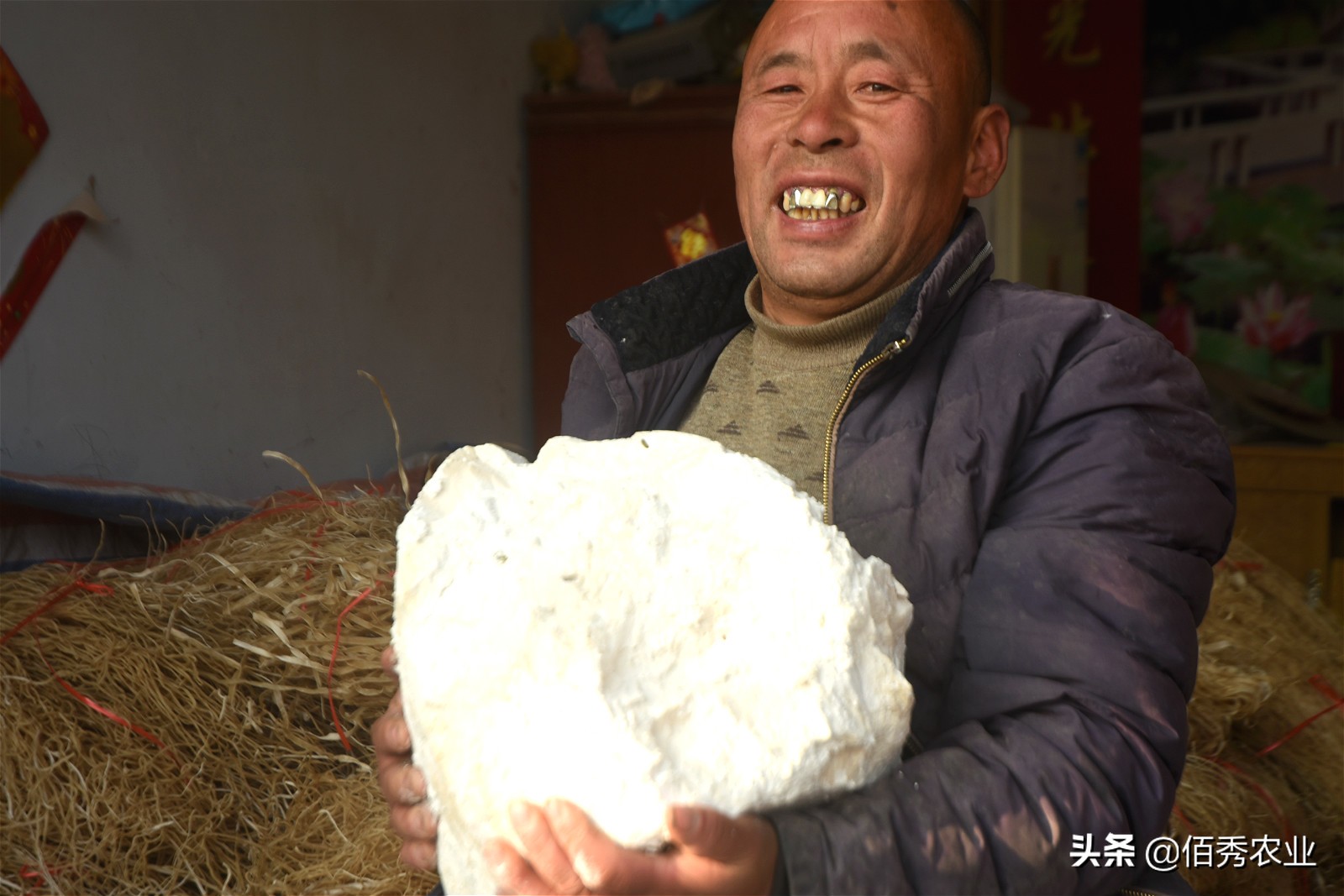 村民用红薯做万斤粉条寻销路,纯手工红薯粉条铺就乡村致富路