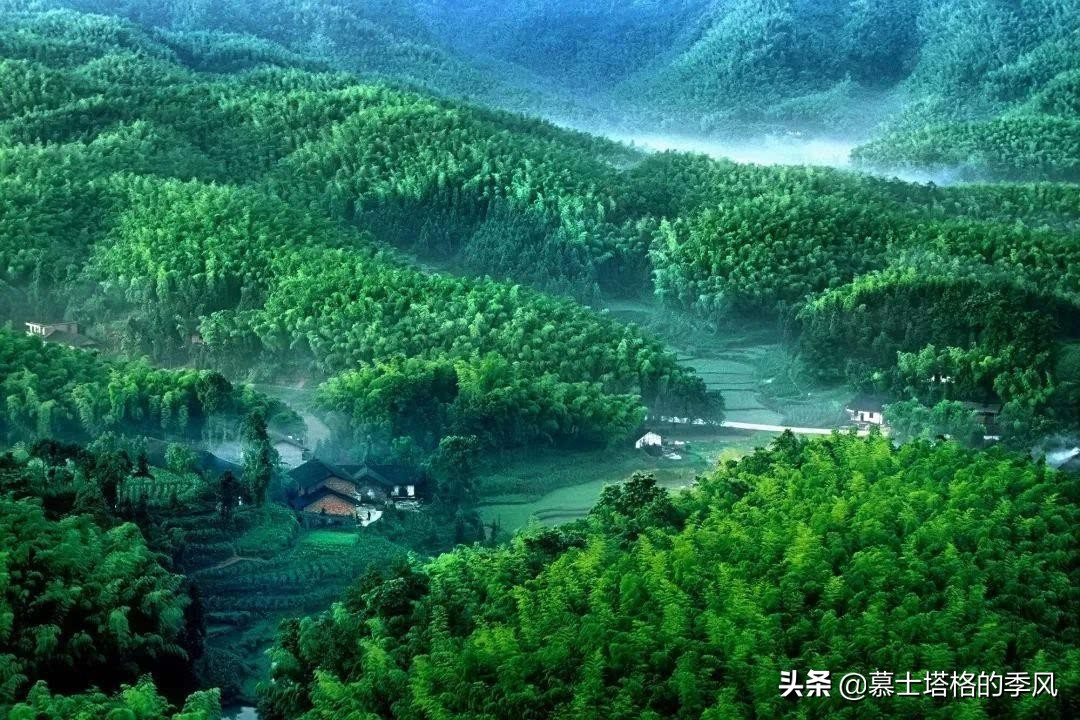 四川最适合养老的小镇,四川养老县城