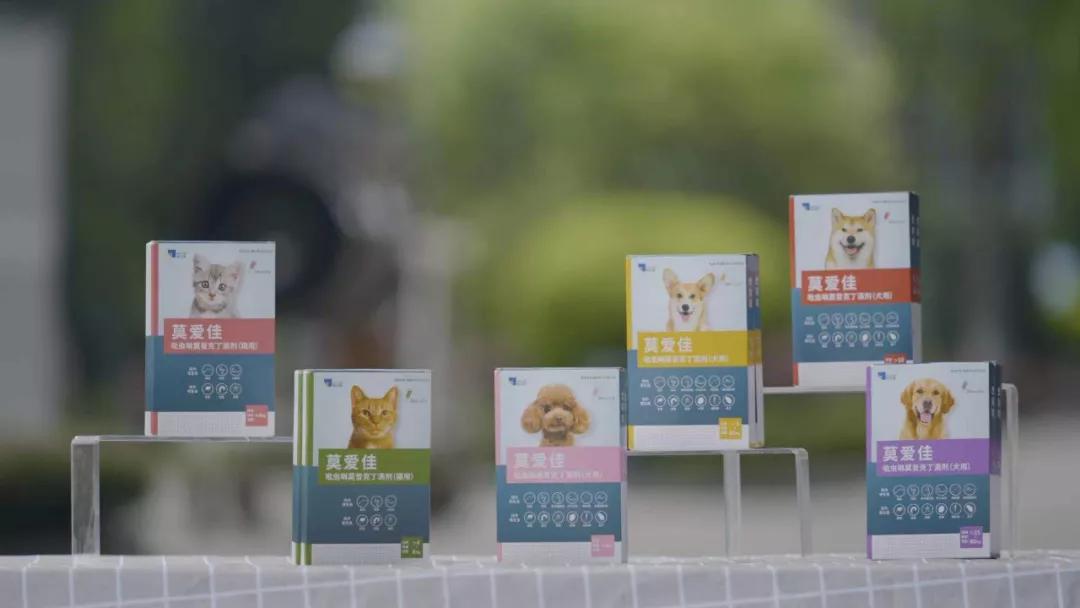 驱虫药猫咪内外同驱品牌,猫狗通用驱虫药正品进口