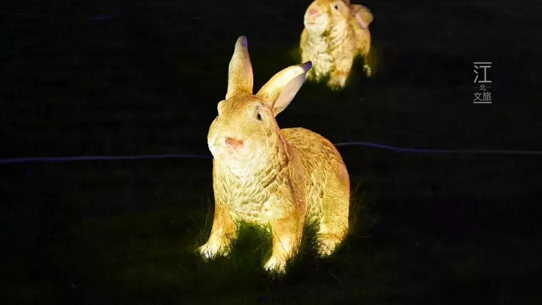 宁波醉美海湾,宁波夜游打卡的好地方