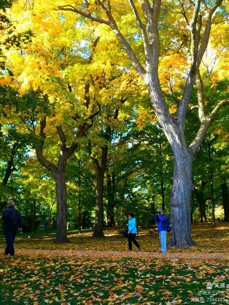漫步魁北克体验不一样的北美风情,北美枫情蒙特利尔