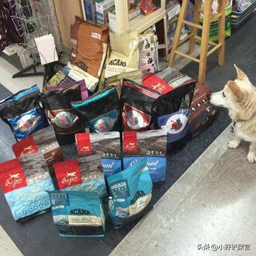 狗狗吃哪一种狗粮比较好,狗狗吃的狗粮哪些才是好狗粮