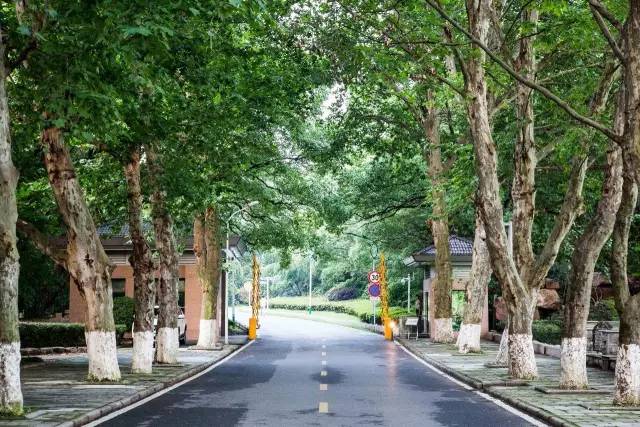 武汉11月打卡景点和网红地,武汉50个值得打卡的地方