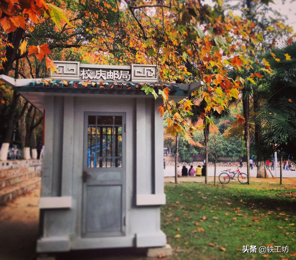 这所“经常被吐槽”的顶尖大学，一直站在中国高等教育的巅峰