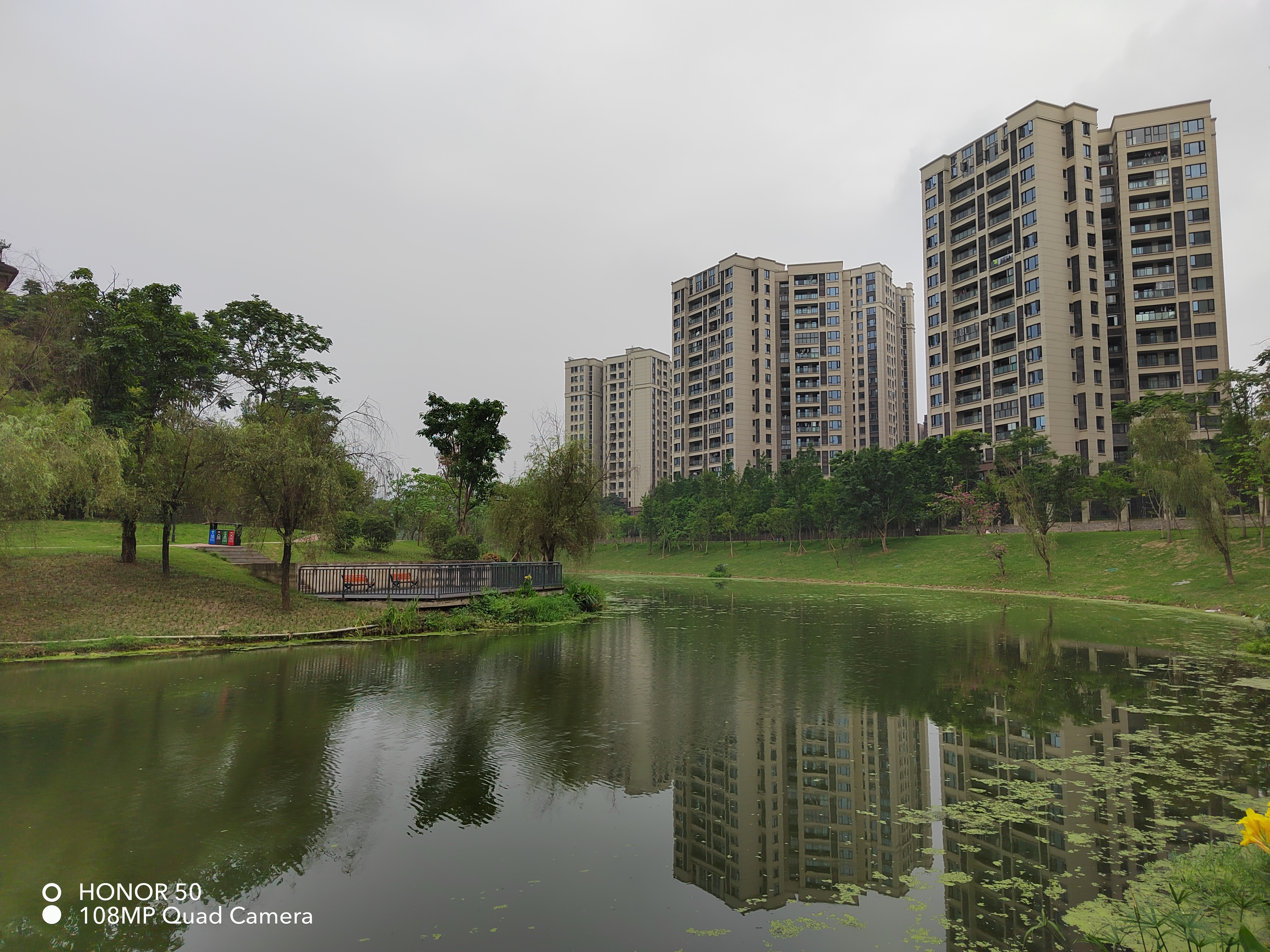 荣耀50除了vlog还有什么功能亮点,荣耀50怎样拍vlog带美颜