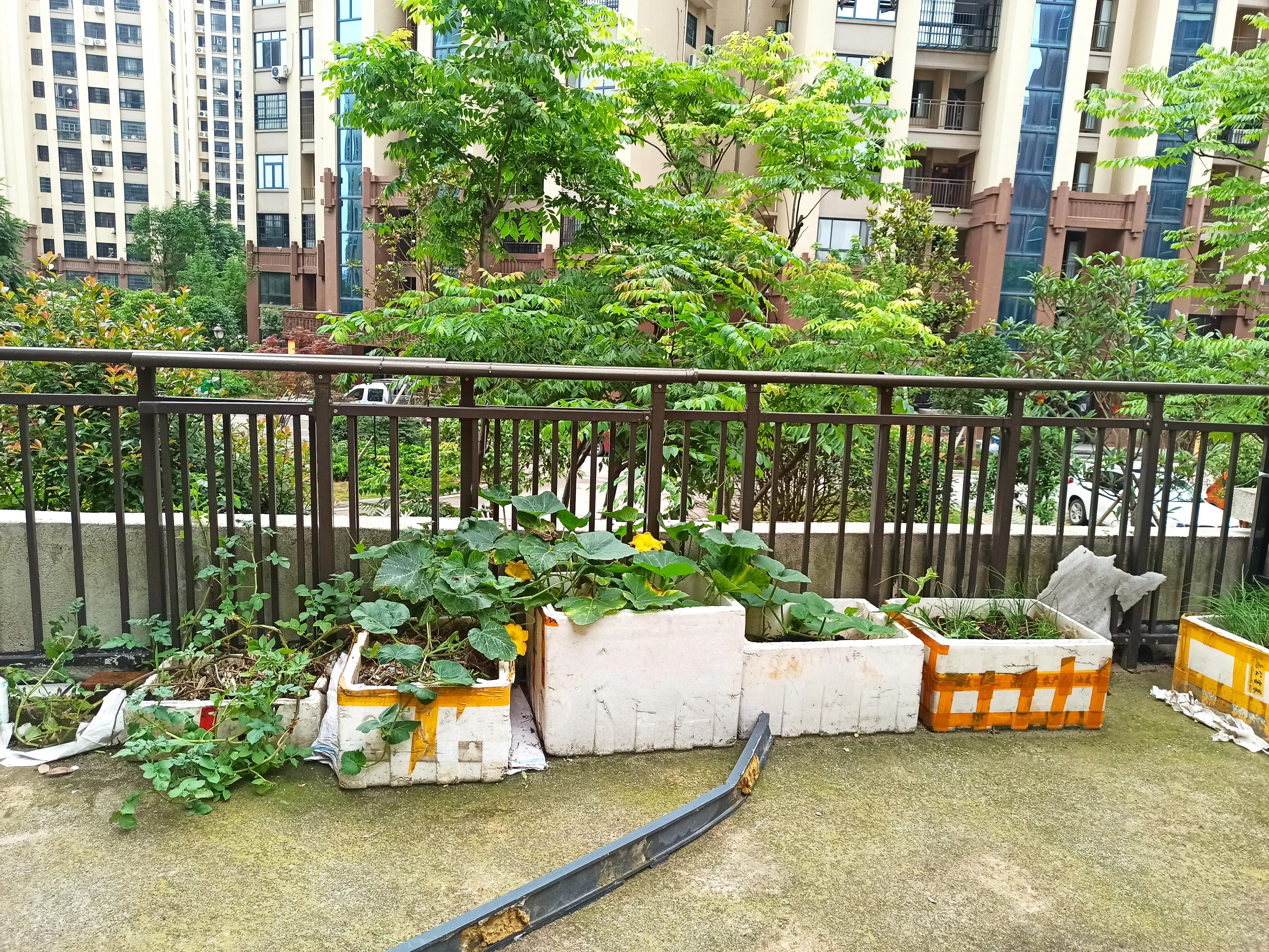 买二楼值不值,买二楼房子有哪些优缺点