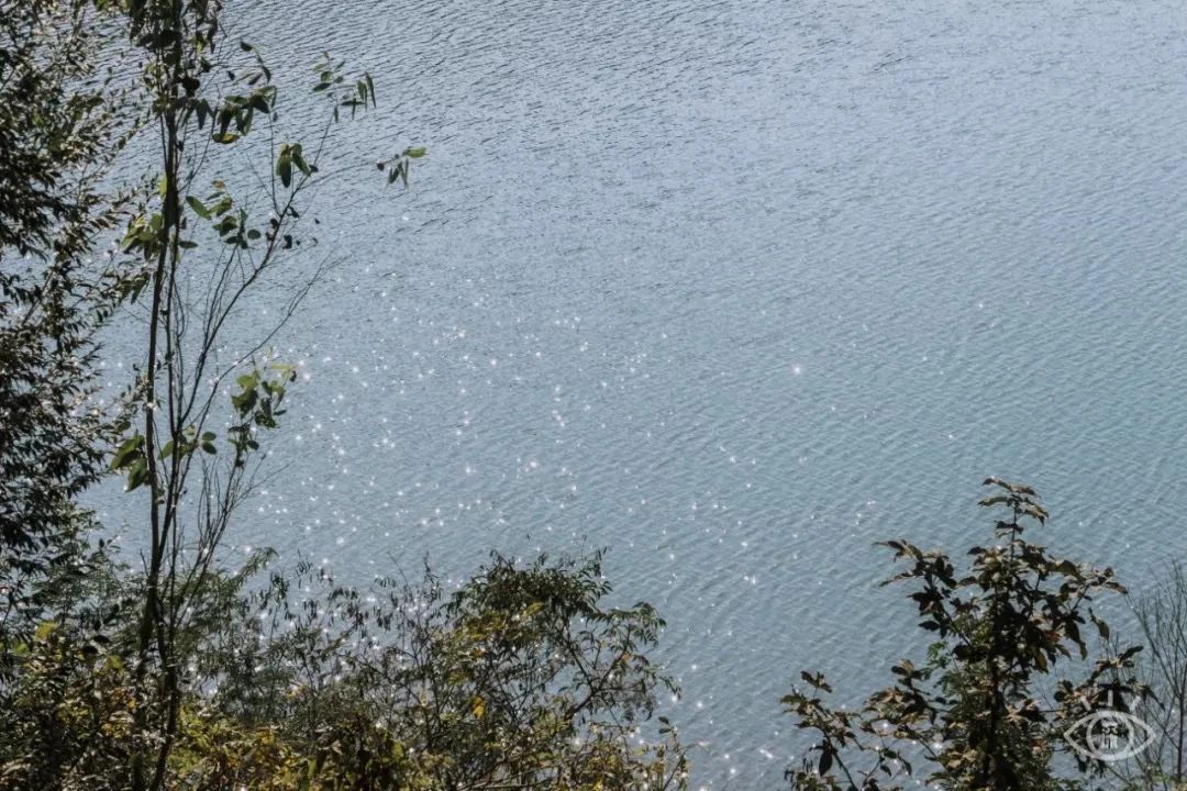 深圳周末浪漫好去处,深圳浪漫约会地点十个景点