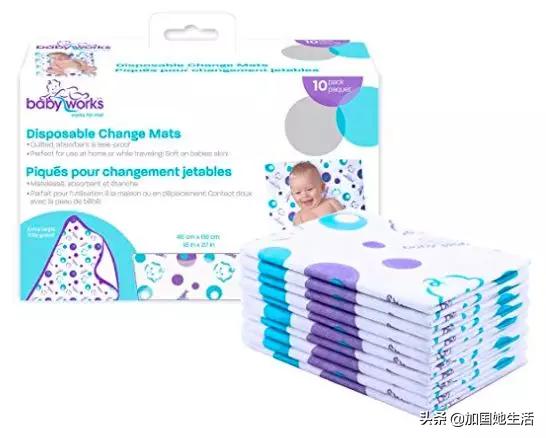 加拿大养小孩福利,加拿大养宠物必备什么