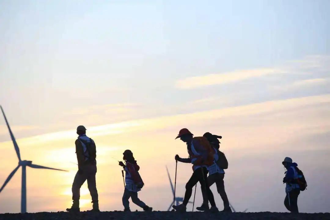 英诺王雪梅,英诺基金王雪梅