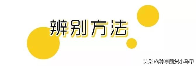 一招教你识别假代购,网上代购是真是假