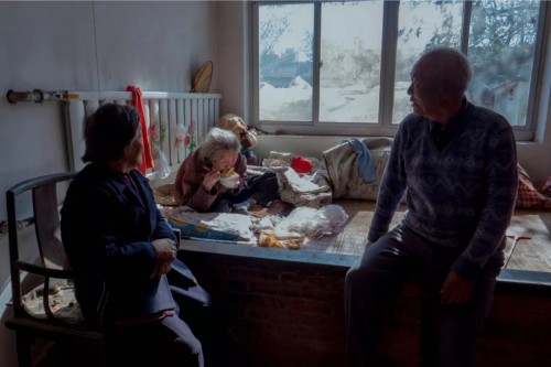 白菜为啥会滞销,2023白菜为什么这么便宜