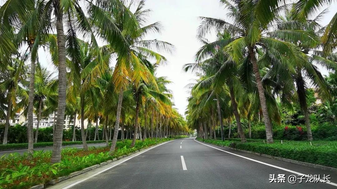 济南出发,海南环岛自驾,阳光海滩里悠然慢旅行,推荐一去