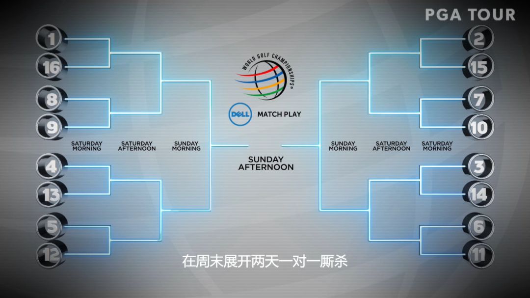 美巡赛排名规则,美巡赛101问