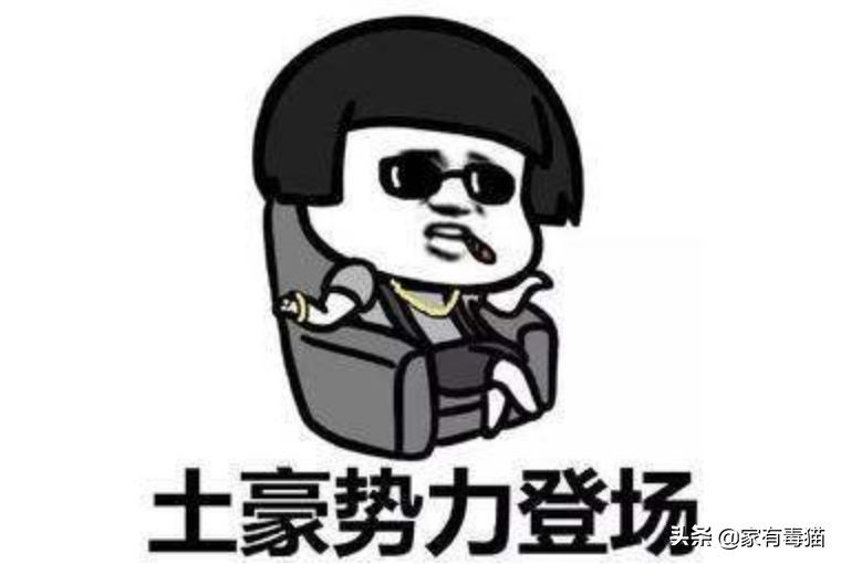 猫粮为何叫毒粮,猫粮和米饭哪个安全