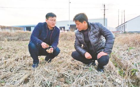 大学生回乡创业利润,含山大学生就业