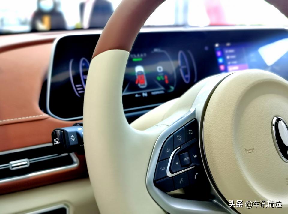 这有一只“好猫”登陆厦门，欢迎来“撸”