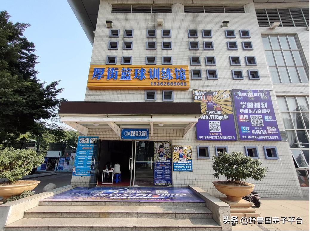 东莞儿童篮球培训机构哪个好,东莞儿童健身球哪家好