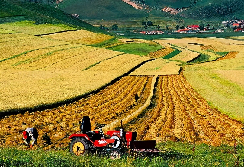 脑动脉硬化严重了会有什么后果,脑动脉硬化一般最好的治疗方法