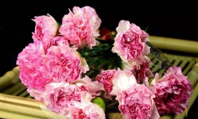 母亲节为什么要送女朋友礼物,母亲节送什么颜色的康乃馨