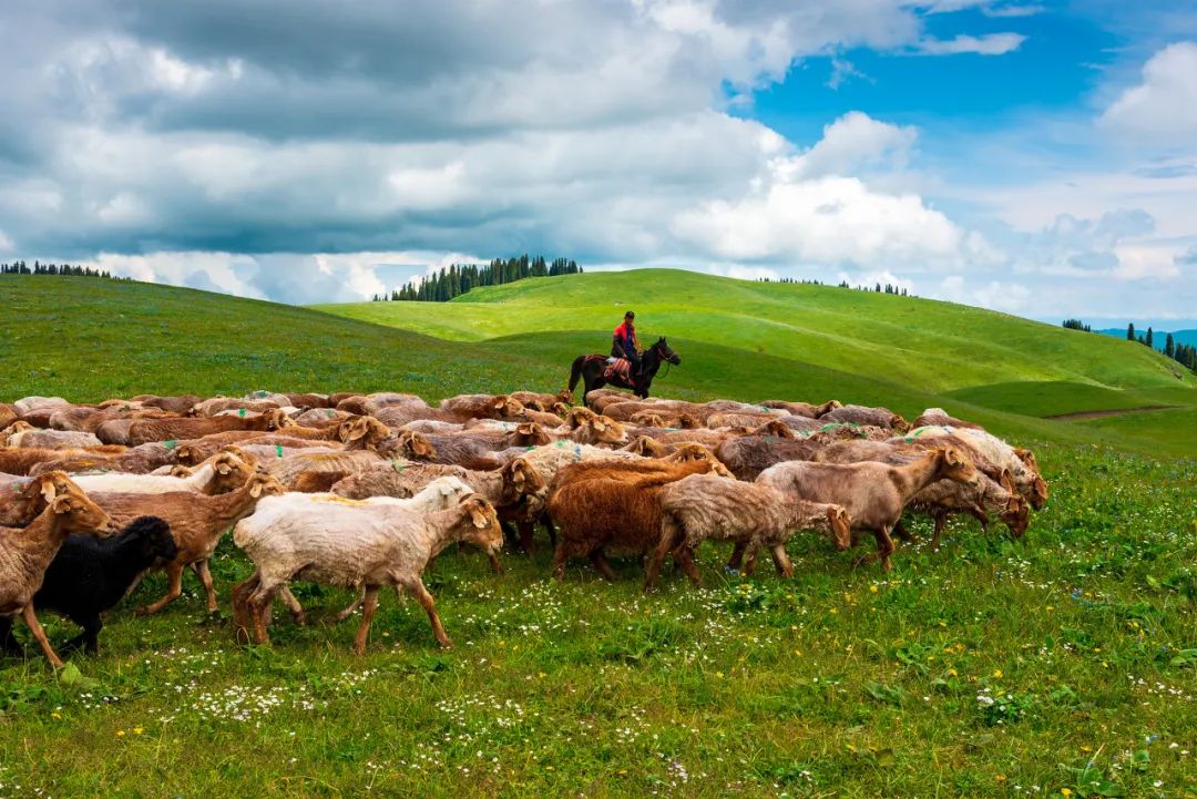hm耐克阿迪,hm耐克优衣库阿迪达斯