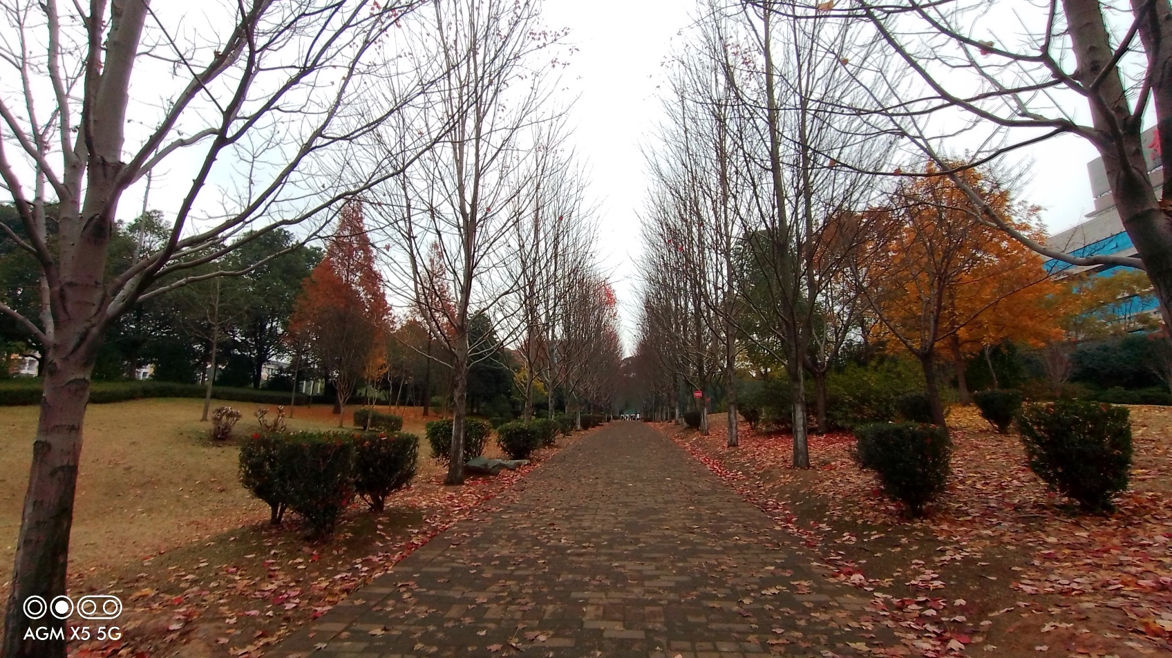 agm三防手机x5,户外手机agmx5