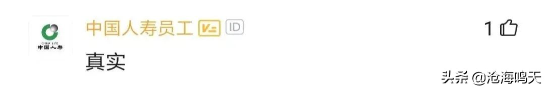 国企程序员都做什么的呀,国企程序员都做什么工作