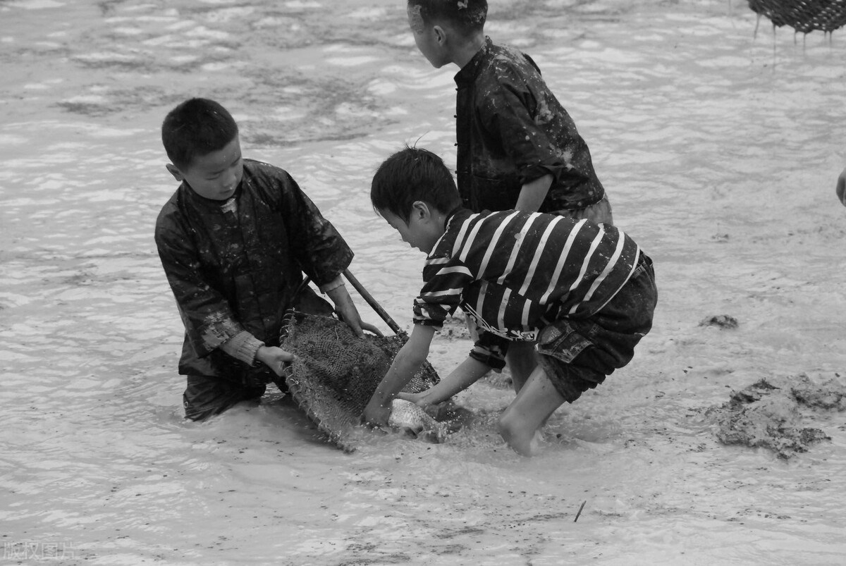 乡土散文快乐的童年时光,童年时光乡情散文