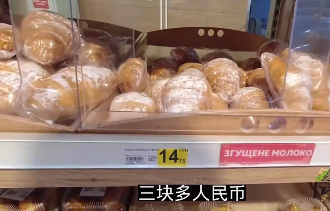 乌克兰100元能买到什么东西,乌克兰有那么多钱吗
