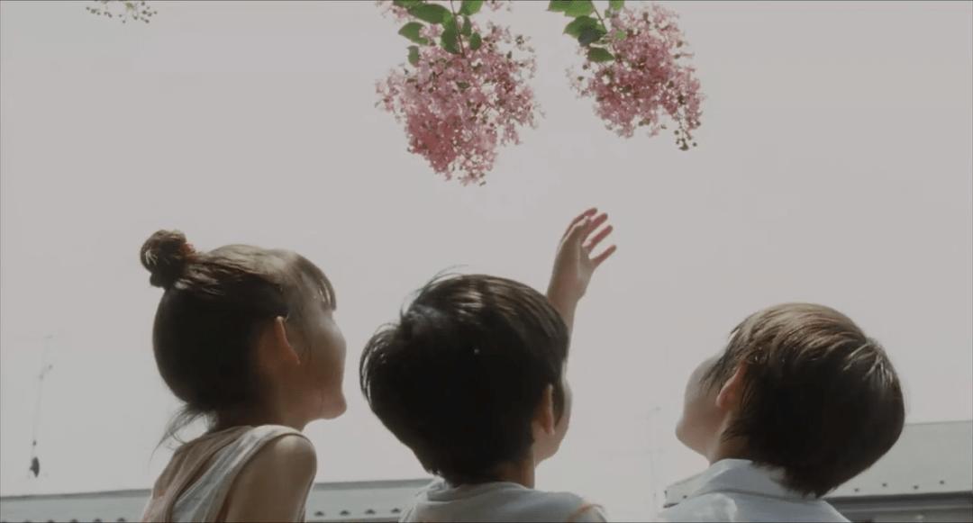 步履不停书籍推荐,步履不停系列电影