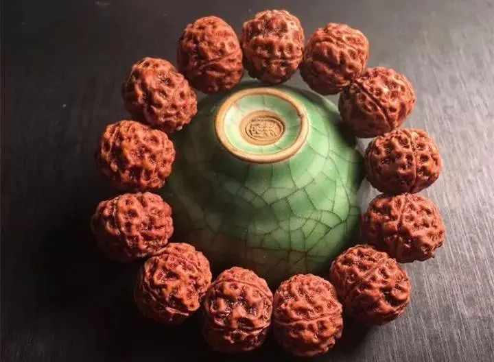 七瓣金刚菩提与落地红区别,金刚菩提红了但不透