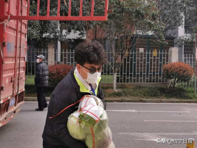购8吨包菜送居民，这个00后志愿者“好靓仔”