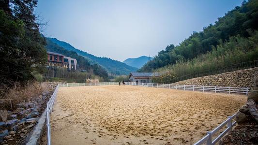 宁海安岚酒店,宁海安岚酒店攻略