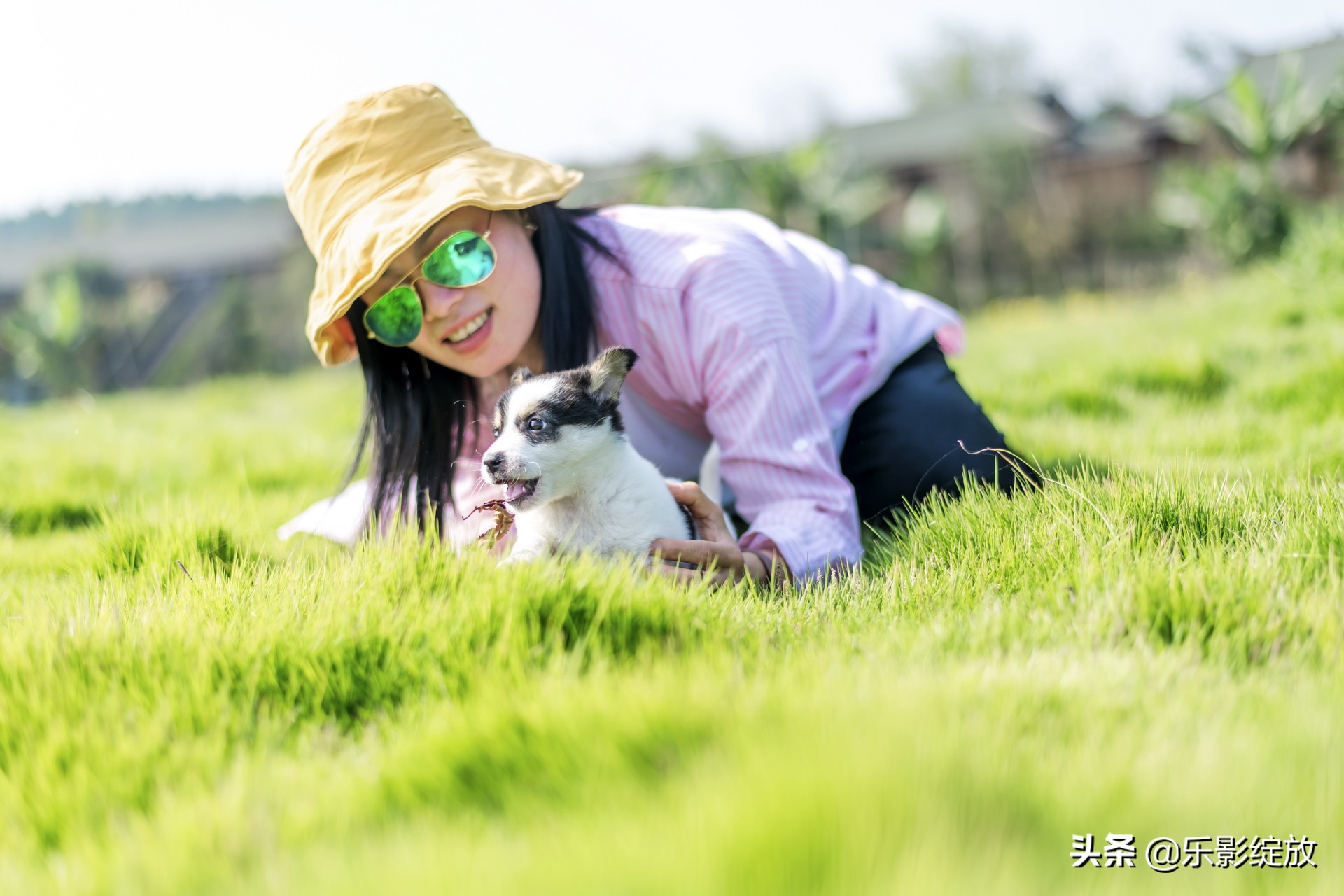 带小花狗去野外生存,带着小花去兜风