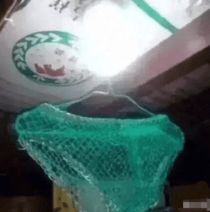 如果女朋友喝醉了你会怎么对我,如果女朋友喝醉了你该怎么做