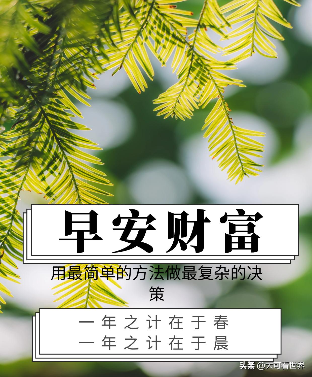 财务造假实务教学视频,财务造假最佳解读